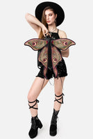 Backpack - Metamorphosis