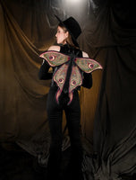 Backpack - Metamorphosis