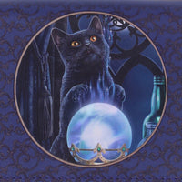 Wallet - Witches Apprentice
